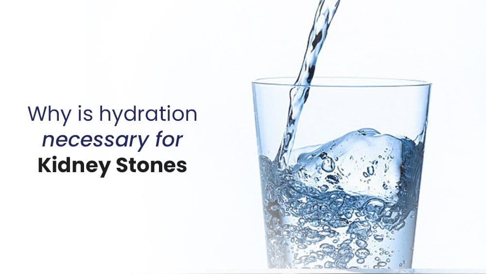 Why Is Hydration Necessary For Kidney Health?