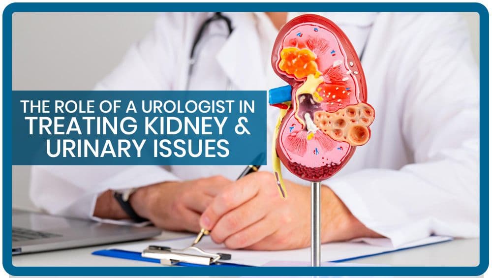 The Role of a Urologist in Treating Kidney & Urinary Issues