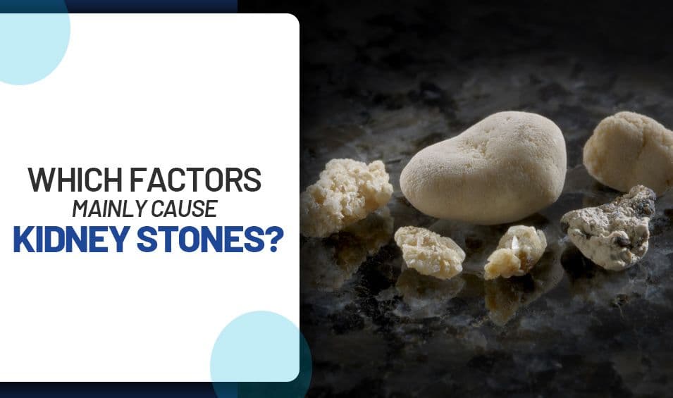 Which Factors Mainly Cause Kidney Stones?