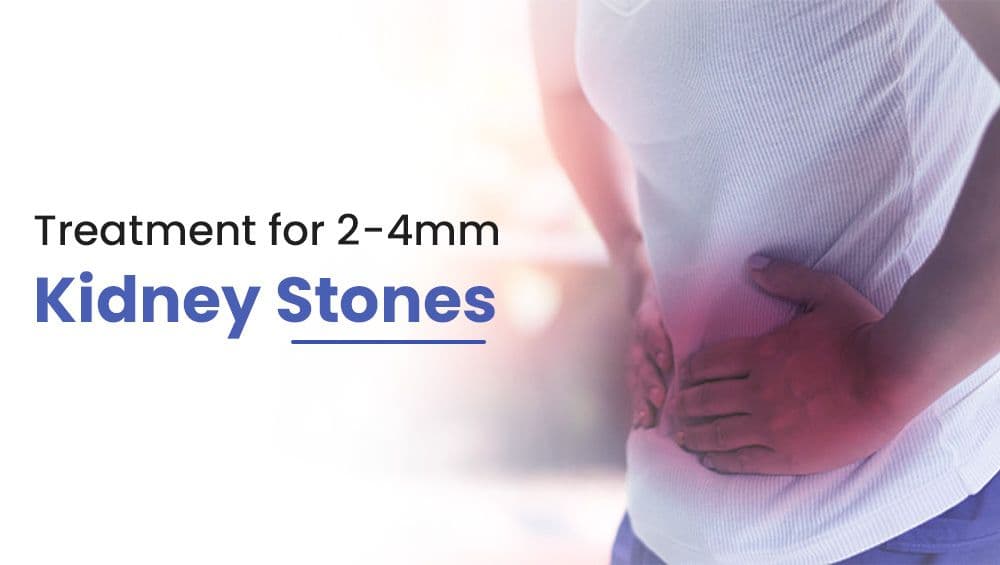 Treatment for 2-4 cm kidney stones