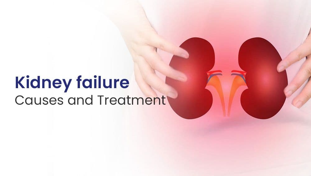 Kidney Failure: Causes & Treatment