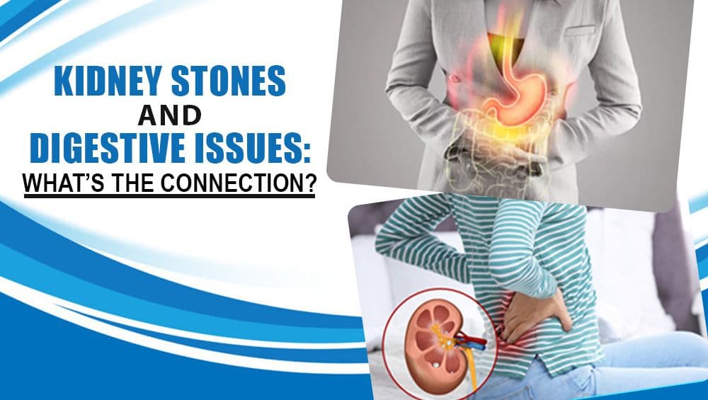 Kidney Stones and Digestive Issues: What’s the Connection?