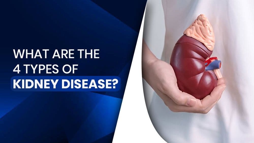 What are the 4 types of kidney disease?